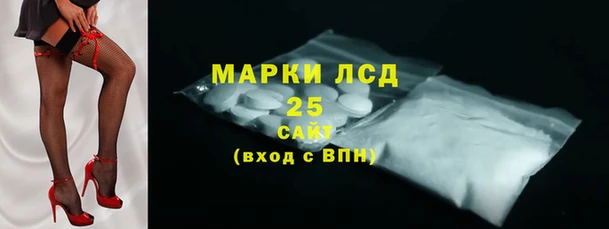 ПСИЛОЦИБИНОВЫЕ ГРИБЫ Арсеньев