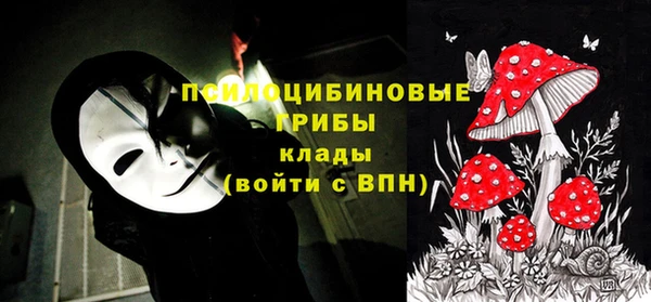 ПСИЛОЦИБИНОВЫЕ ГРИБЫ Арсеньев