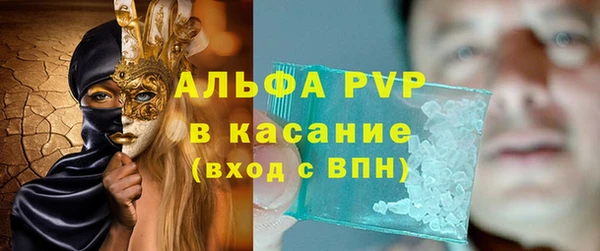 ПСИЛОЦИБИНОВЫЕ ГРИБЫ Арсеньев